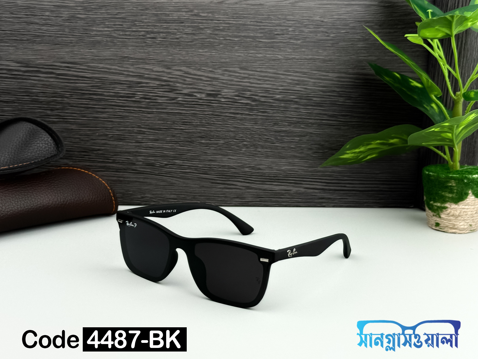 Ray.ban Polarize Sunglass